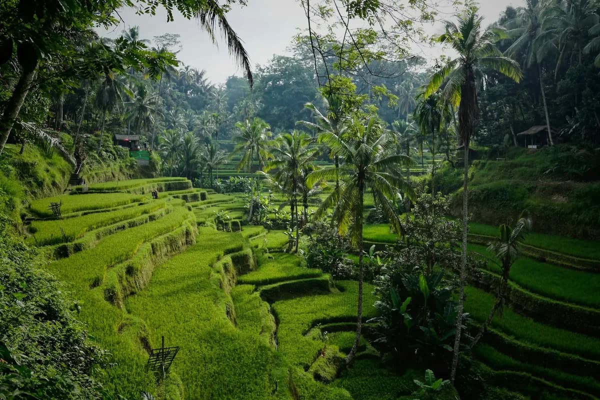 Bali retreat