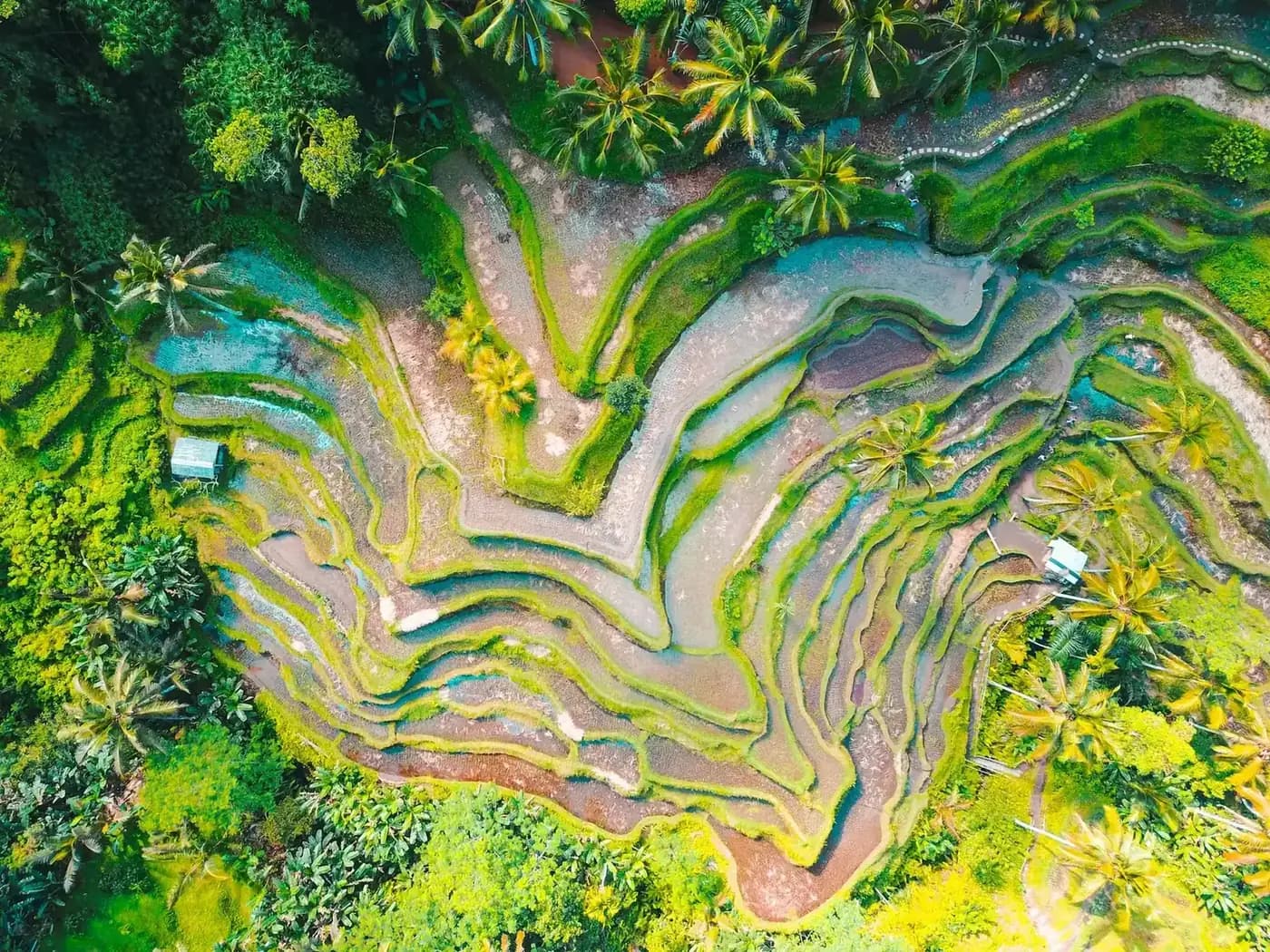 Bali retreat moment