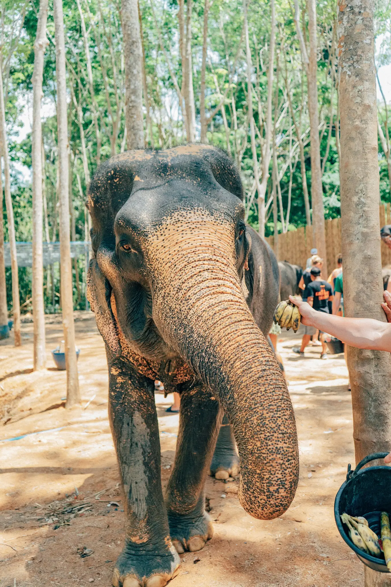 Thailand retreat moment