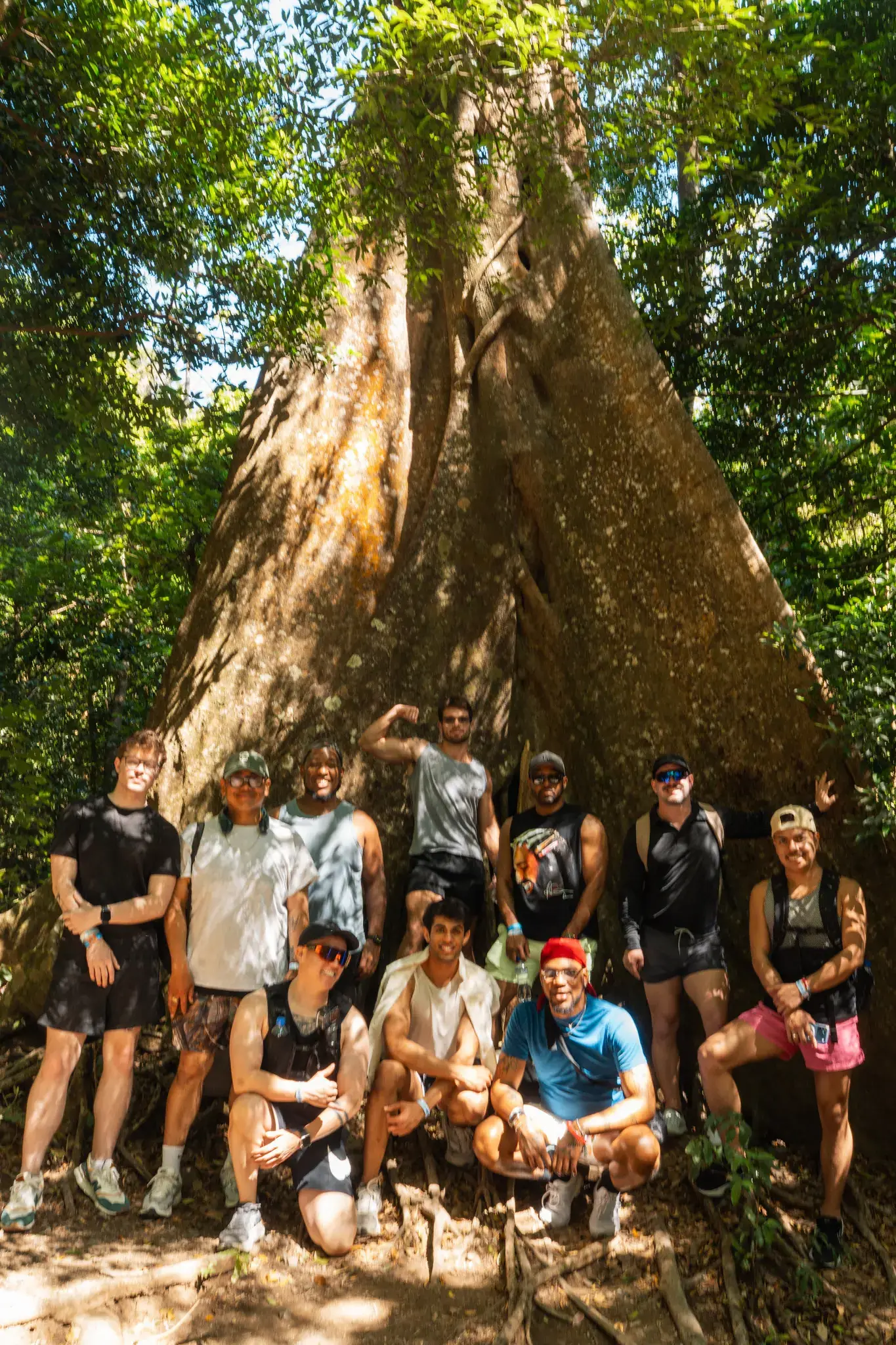 Under the giant tree on the hike